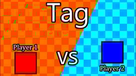 2 Player Tag