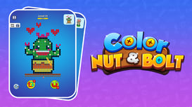 Color Nuts & Bolts Puzzle